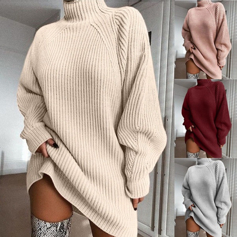 Knitwear Turtleneck Sweater Dress