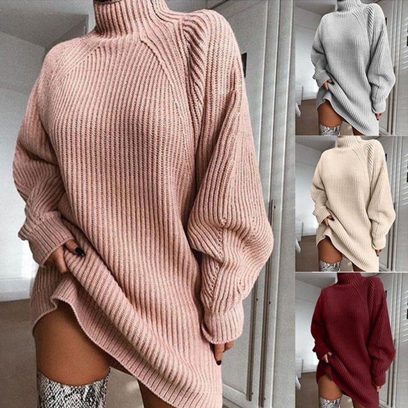 Knitwear Turtleneck Sweater Dress