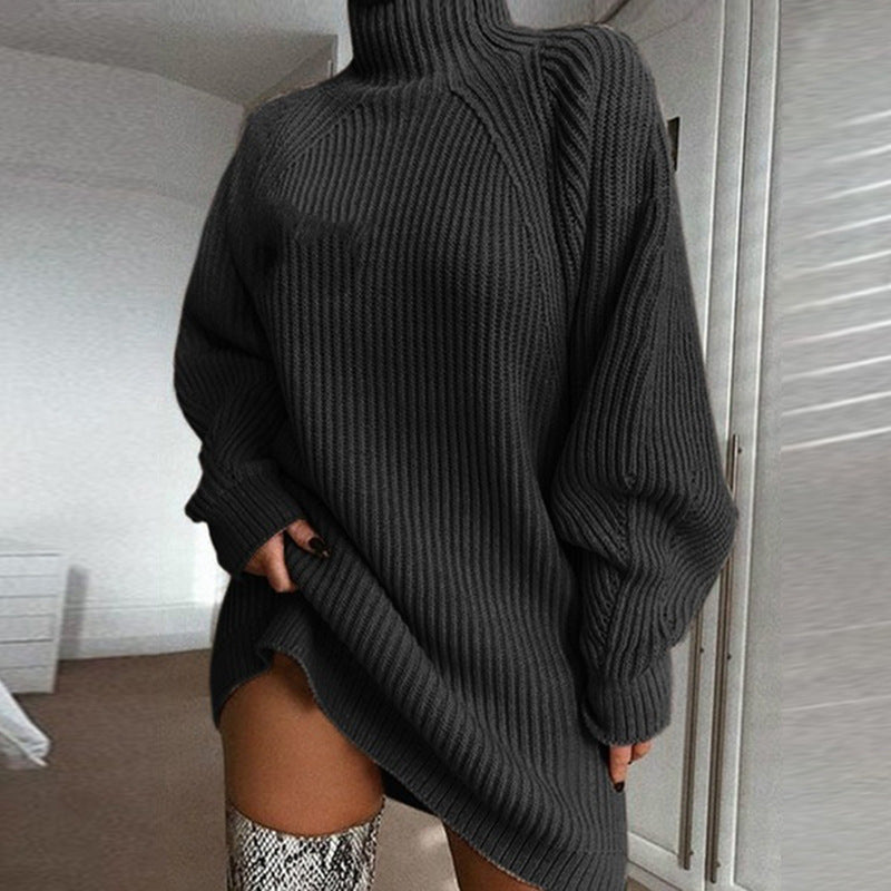 Knitwear Turtleneck Sweater Dress