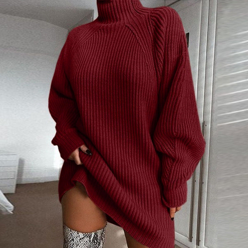 Knitwear Turtleneck Sweater Dress